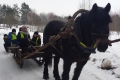 Wycieczka saniami 201902083